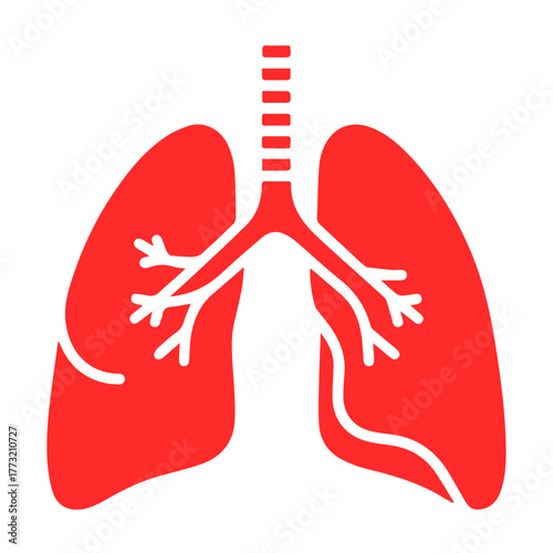 Lungs, lungs icon isolated on white, human lungs, respiratory system, medical organ, anatomy illustration, healthcare symbol, breathing, pulmonary system, hospital, biology, medical science, respirato