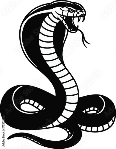 Aggressive cobra serpent with flared hood and bared fangs in a monochrome vector style