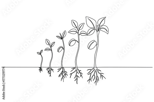 Five steps of the plant life cycle in one continuous line drawing illustration