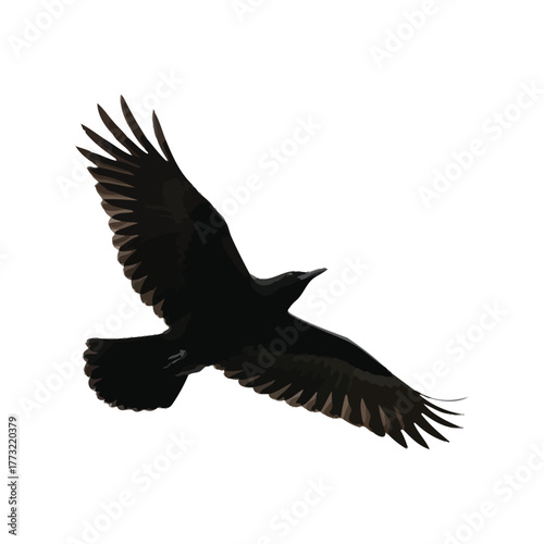 A Majestic Black Bird Soars Through the Sky with its Wings Spread Wide, Captured in a Stunning Aerial View