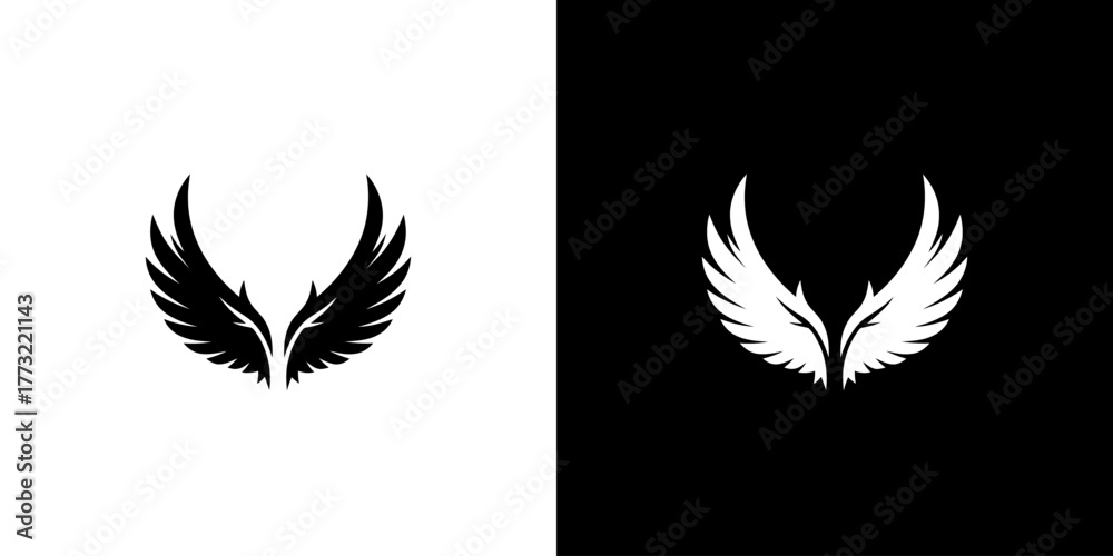 Obraz premium Black and white wing icons on split color
