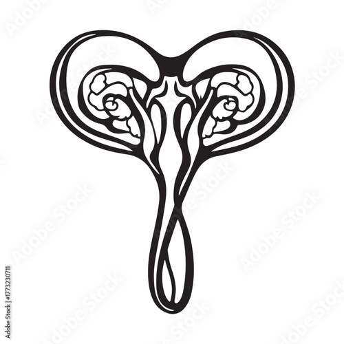 set Female reproductive icon. uterus symbol vaginal sign design illustration