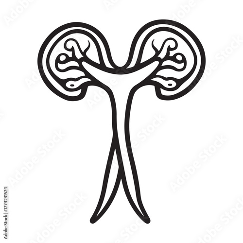 set Female reproductive icon. uterus symbol vaginal sign design illustration
