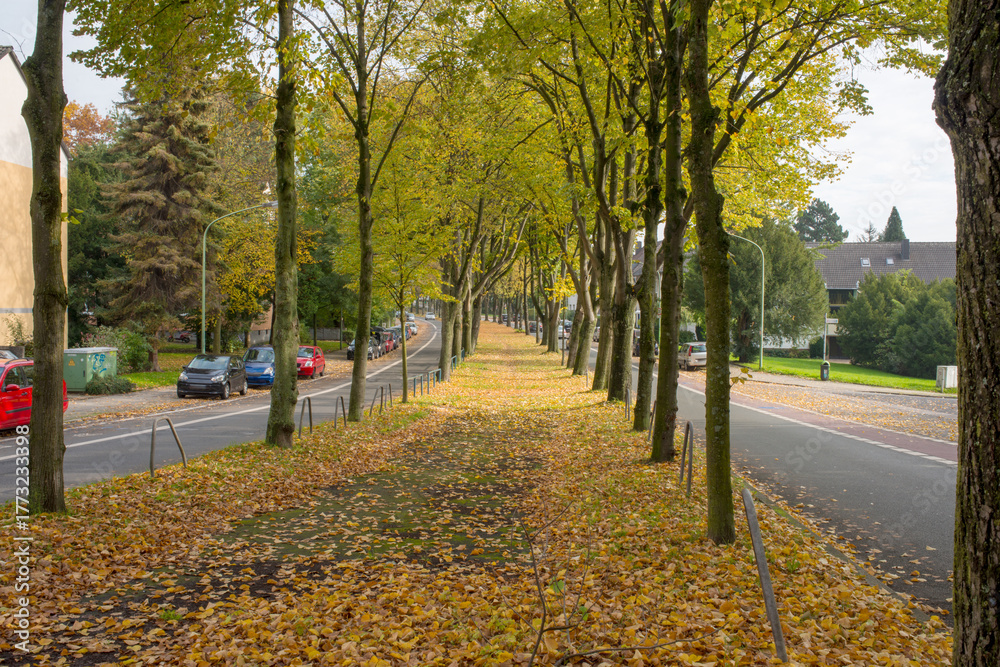Naklejka premium Peaceful Autumn Street with Trees and Fallen Leaves