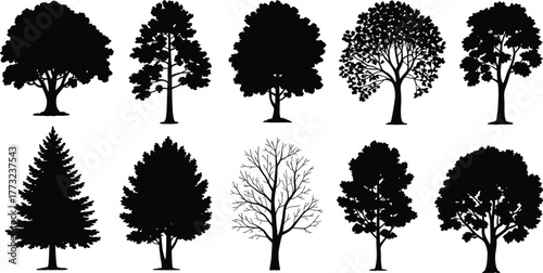 Flat vector silhouette set of diverse tree shapes with coniferous and deciduous forms, bare branches, foliage styles, nature design, landscape