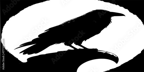 raven on a white background