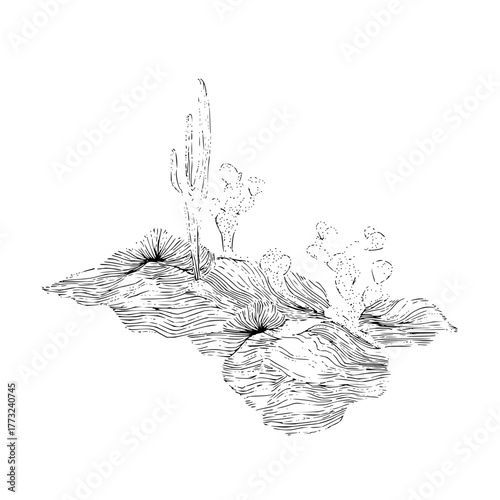 Illustration of a desert landscape with cacti and textured ground in a black and white style