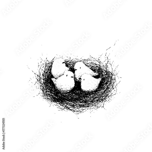 A monochrome illustration of a bird's nest containing four small chicks with detailed line work style