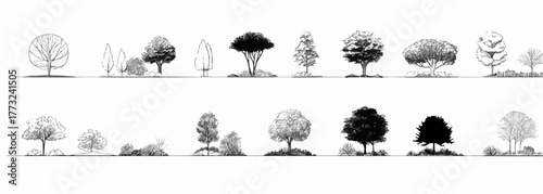 Diverse vector illustrations of trees and shrubs, perfect for architectural renderings, landscape design, and graphic resource applications.