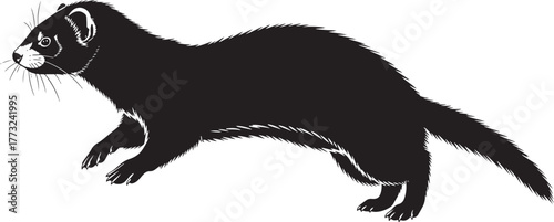 Silhouette of a black ferret in a playful pose showing its agile body and distinctive features
