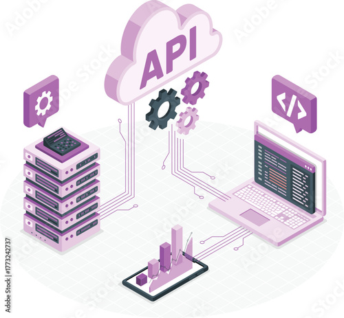 Isometric illustration of API cloud computing and data processing server laptop