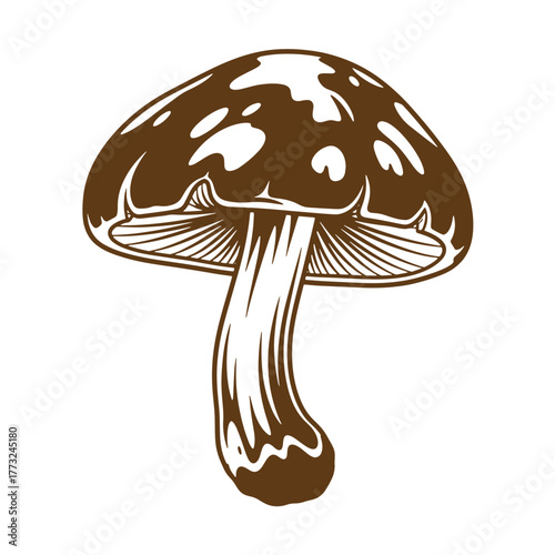 Detailed vintage art illustration of a brown mushroom with detailed artistic design on white background