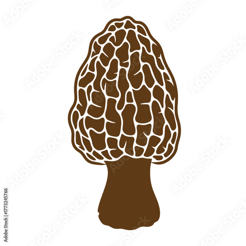Elegant illustration of a morel mushroom showing detailed texture in a vintage art style