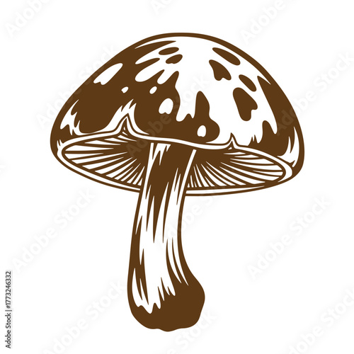 Elegant brown vintage art illustration of a detailed mushroom isolated on white background
