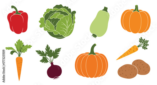 A vibrant assortment of freshly harvested, healthy, and organic garden vegetables including carrots, bell pepper, cabbage, pumpkins, and potatoes.