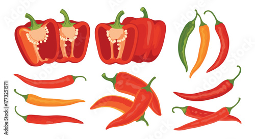 A vibrant collection of bell peppers and various chili peppers, showcasing different colors and forms, ideal for culinary themes, healthy eating, and food preparation illustrations.