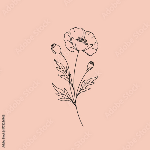 Minimalist Poppy Flower Line Art Illustration on Blush Pink Background