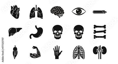 Collection of human organs in black and white isolated on white background for design use