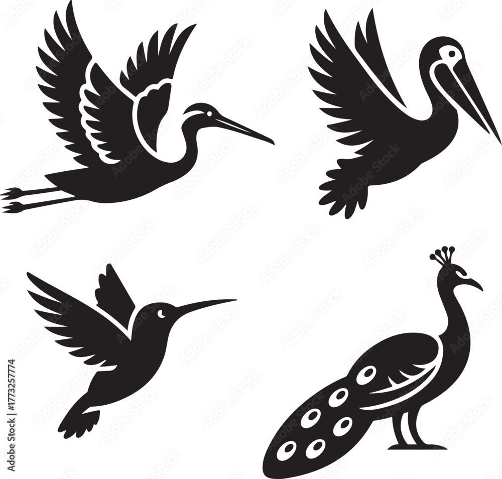 Obraz premium Diverse Avian Forms in Stylized Silhouettes