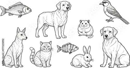 Charming collection of adorable pet illustrations for children's books, educational resources, and heartwarming family projects, perfect for animal lovers