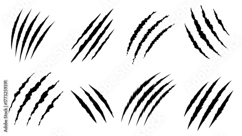 animal foot scratch set. Claw marks vector set animal scratch track isolated on white background. vector illustration