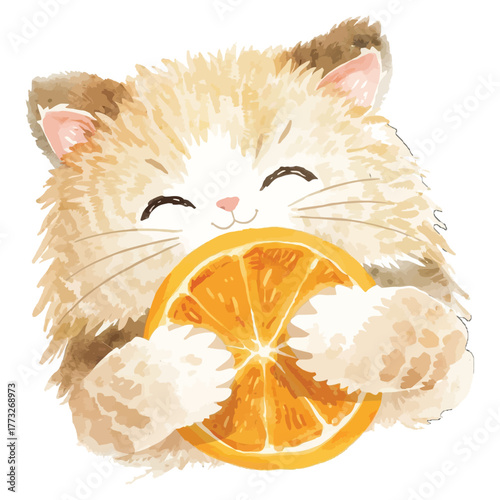 cat and orange