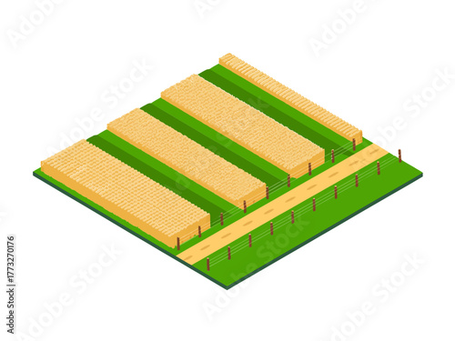 Isometric wooden planks platform, outdoor boardwalk panels, landscaping element on grass, construction design asset, park walkway vector