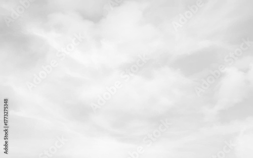 Cloudy White Sky Background. Copy Paste Space.