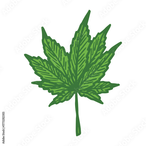 Hand drawn cannabis leaf Medicine marijuana Hemp leaves clipart in doodle style Single element for print, web, design, decor