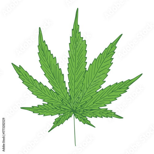 Hand drawn cannabis leaf Medicine marijuana Hemp leaves clipart in doodle style Single element for print, web, design, decor