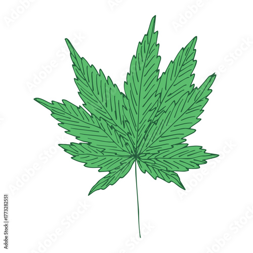 Hand drawn cannabis leaf Medicine marijuana Hemp leaves clipart in doodle style Single element for print, web, design, decor