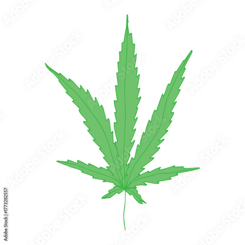 Hand drawn cannabis leaf Medicine marijuana Hemp leaves clipart in doodle style Single element for print, web, design, decor