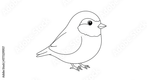 A charming and simple black and white line art drawing of a cute little bird, perfect for a children's coloring page or educational illustration, isolated on white.