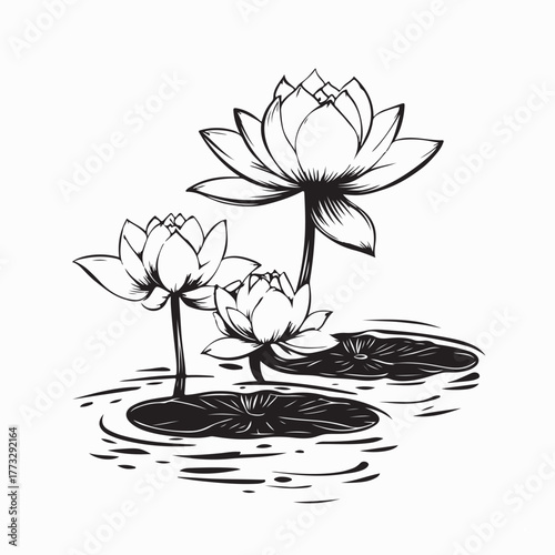 Lotus Flower Floating on Lake Water Vector Illustration on white background