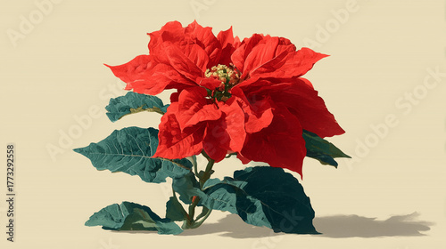 Red and Green Christmas Flower Illustration Minimal Background