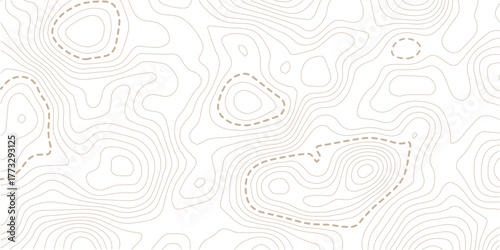 Topographic map lines background. Abstract vector illustration. Vector illustration.