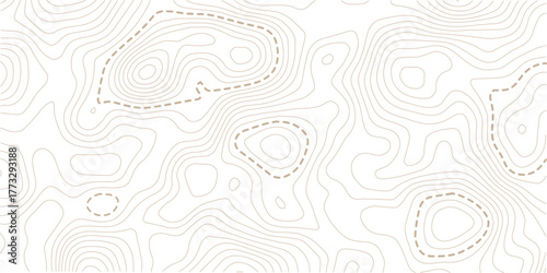 Topographic map lines background. Abstract vector illustration. Vector illustration.