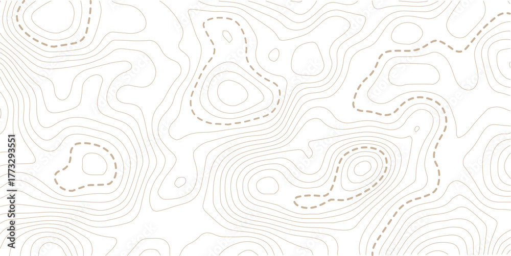 Fototapeta premium Topographic map lines background. Abstract vector illustration. White background topo 