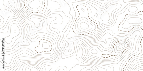 Topographic map lines background. Abstract vector illustration. White background topo 
