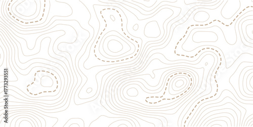 Topographic map lines background. Abstract vector illustration. White background topo 