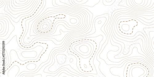 Topographic map lines background. Abstract vector illustration. White background topo 
