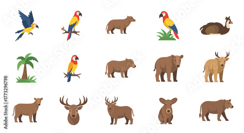 Collection of wildlife animals vector illustration including parrots deer and cattle for design resources