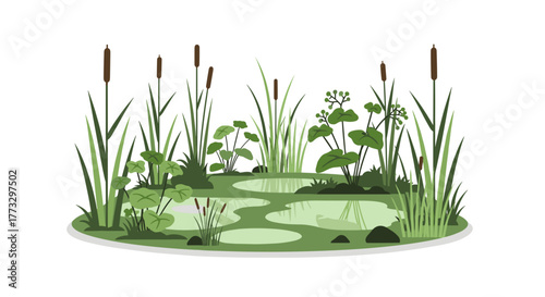 Illustration of a wetland ecosystem with cattails and aquatic plants for nature designs
