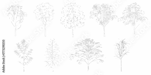Collection of stylized white trees with delicate branches and leaves on a clean white background