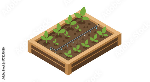 Raised garden bed with irrigation system for home gardening and vegetable growing in a small space setup