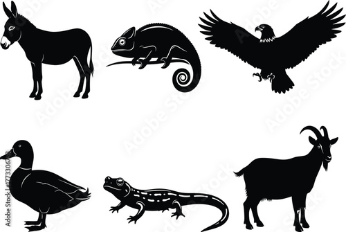Animal silhouette bundle, black vector icons, wild and farm creatures, side profile shapes, bird reptile mammal set, isolated graphic pack