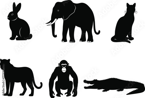 Animal silhouette collection, black vector icons, jungle and wild creatures, side and front views, reptile mammal set, isolated graphic pack