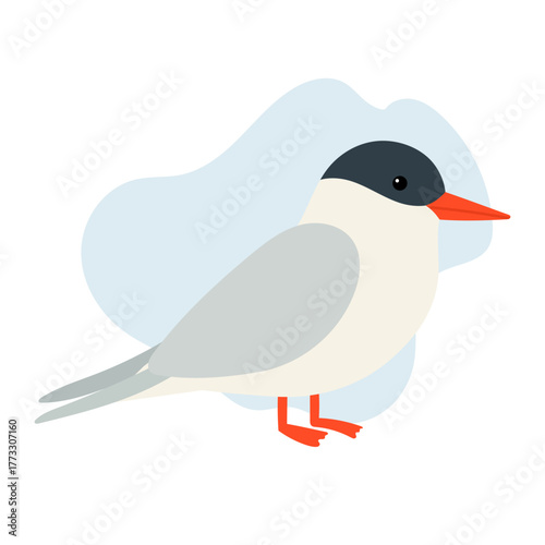 Arctic tern stands light on shore, tern represents freedom, migration, and endurance, tern travels between poles each year, connecting arctic and antarctic worlds in elegant flight.