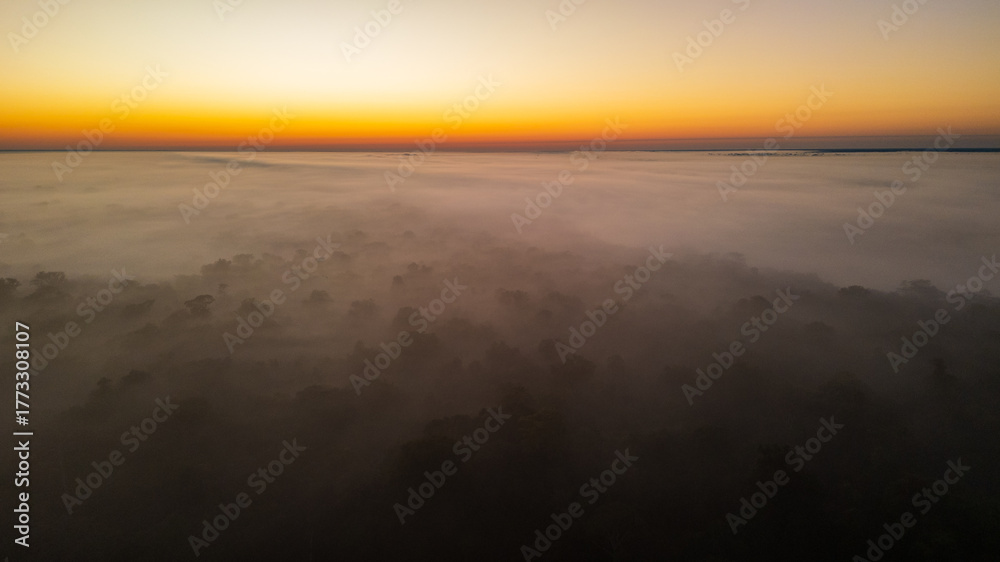 Fototapeta premium Aerial images of the Amazon rainforest of Madre de Dios, clouds over the trees in Tambopata, Peru