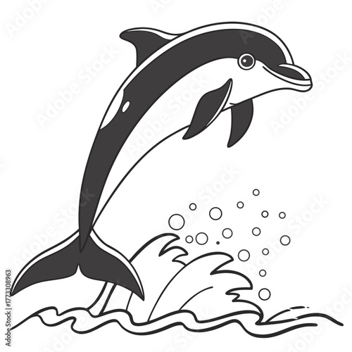 Dolphin jumping
